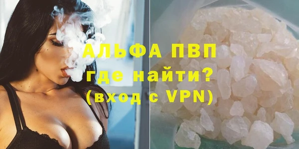 сатива Вуктыл