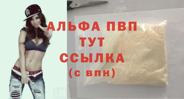 стаф Инсар