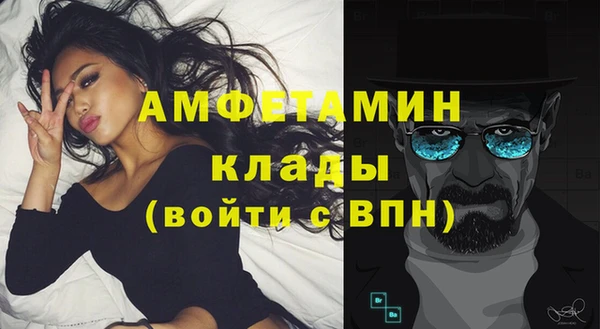 стаф Инсар