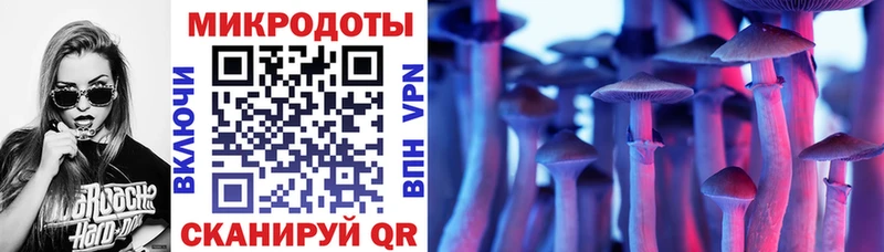 Псилоцибиновые грибы мицелий  Кингисепп 